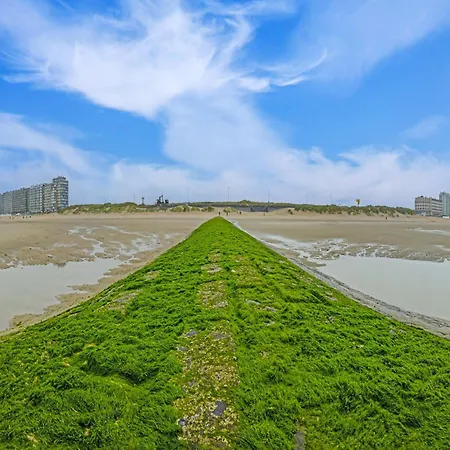 Апартаменты In Ostend Near Seafront, Cleaning Included Миделкерк