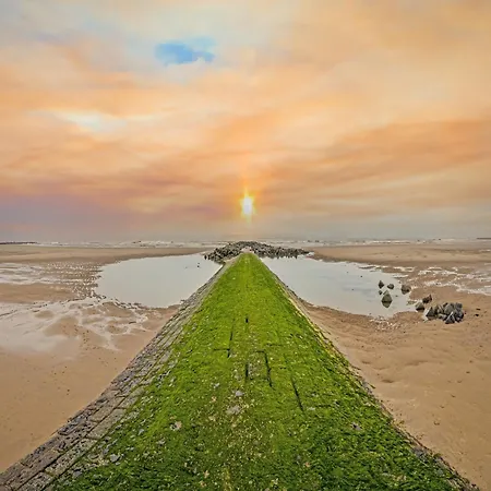 In Ostend Near Seafront, Cleaning Included